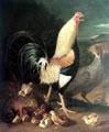unknow artist Cock hen and chicken